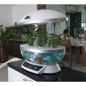 Tabletop Hydroponics Fish Tank Planter Aquaponics System with Grow Light