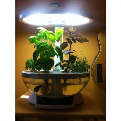 Image of Tabletop Hydroponics Fish Tank Planter Aquaponics System with Grow Light