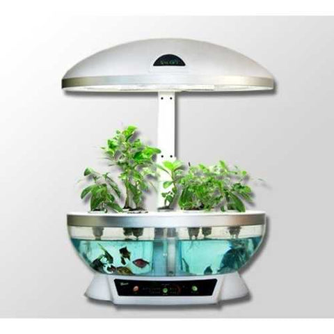 Image of Tabletop Hydroponics Fish Tank Planter Aquaponics System with Grow Light