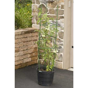 3-Pack of Tomato Plant Cage Climbing Fruit Veggie Garden Trellis