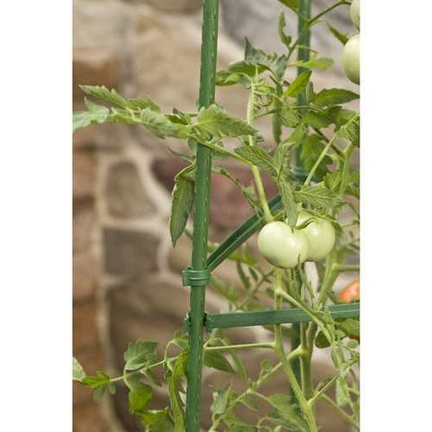 Image of 3-Pack of Tomato Plant Cage Climbing Fruit Veggie Garden Trellis