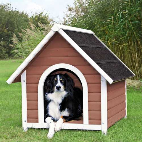 Image of Medium 31.5-inch Outdoor Doghouse with Asphalt Shingles