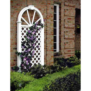 7-Ft Garden Trellis in White Vinyl with Arch Top