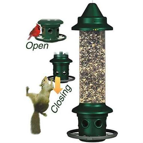 Image of Squirrel-proof Bird Feeder with Perch Ring