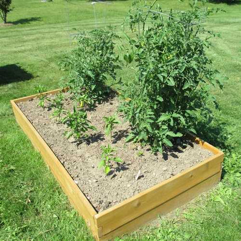 Image of Western Red Cedar Wood 3-Ft x 6-Ft Raised Garden Bed Planter Kit - Made in USA